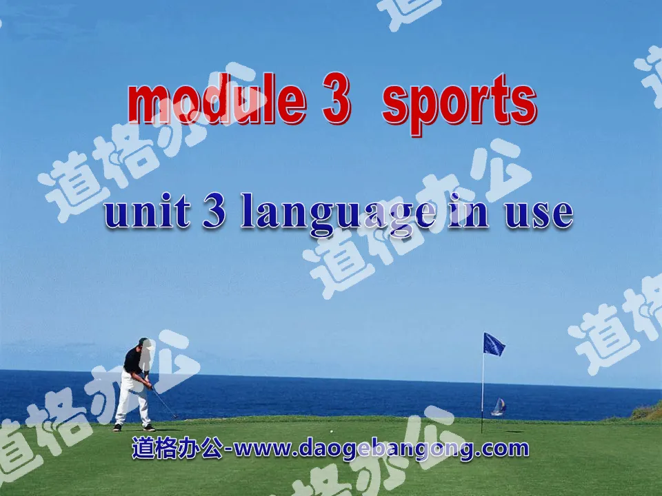 《Language in use》Sports PPT课件2
