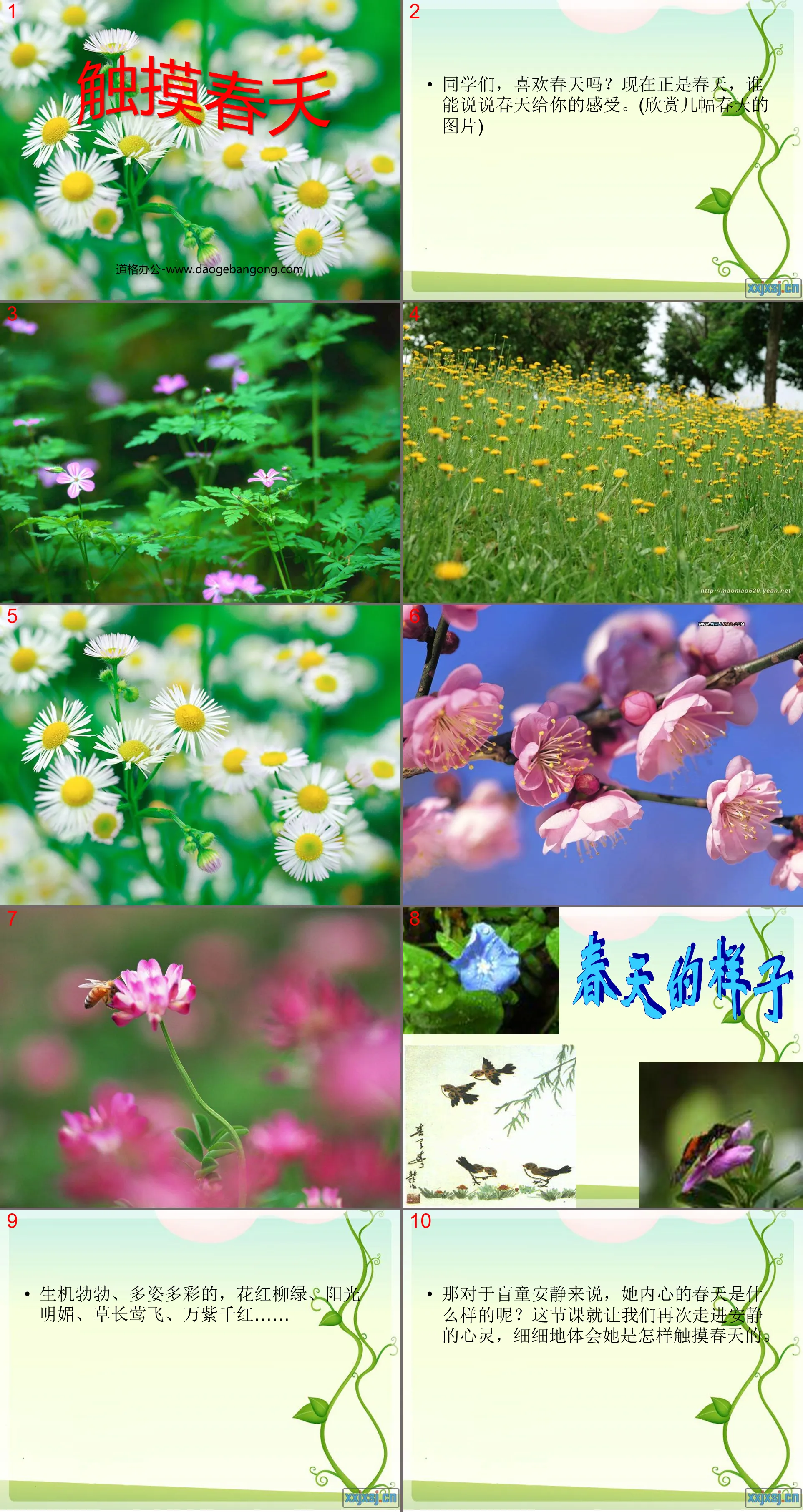 "Touching Spring" PPT courseware 8