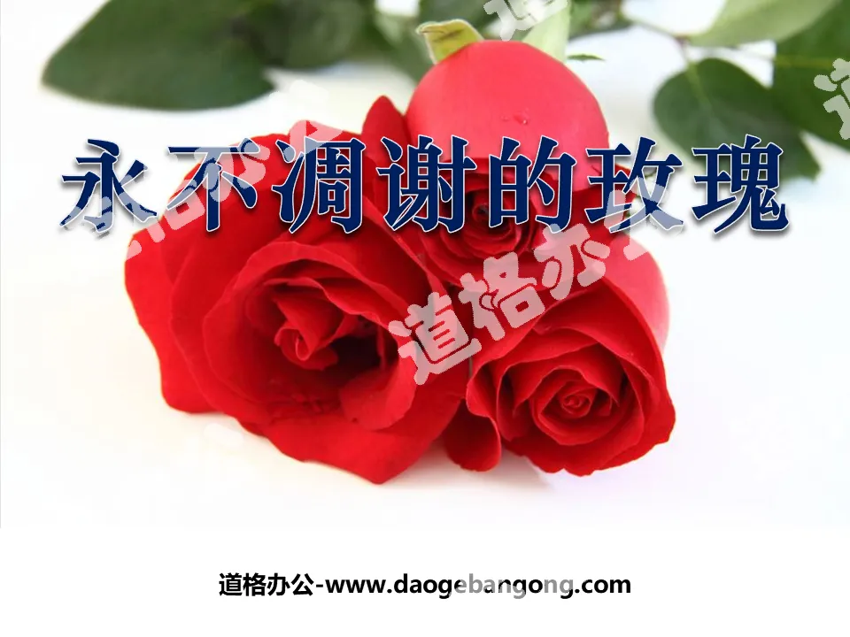 "The Rose That Never Fades" PPT Courseware 3