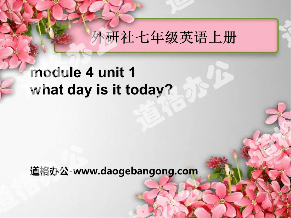 《What day is it today?》PPT课件2
