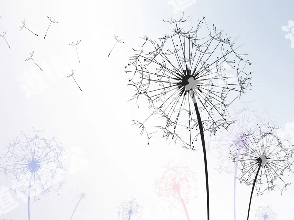 Dandelion abstract plant PPT background picture