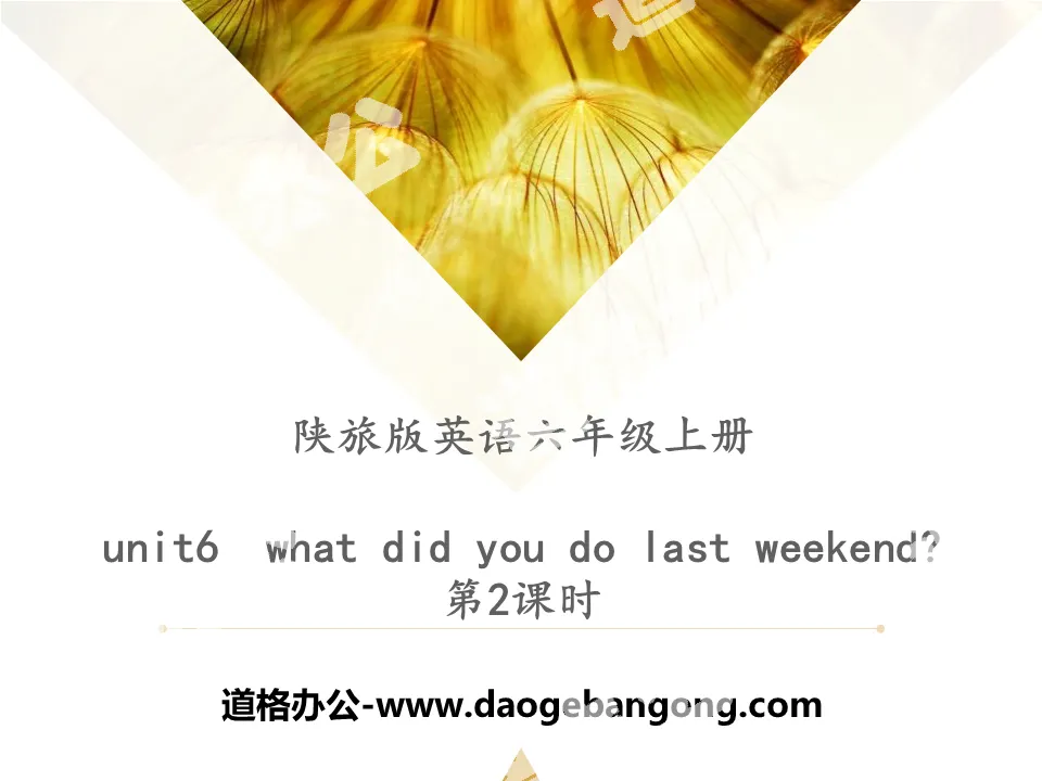 《What Did You Do Last Weekend?》PPT下载

