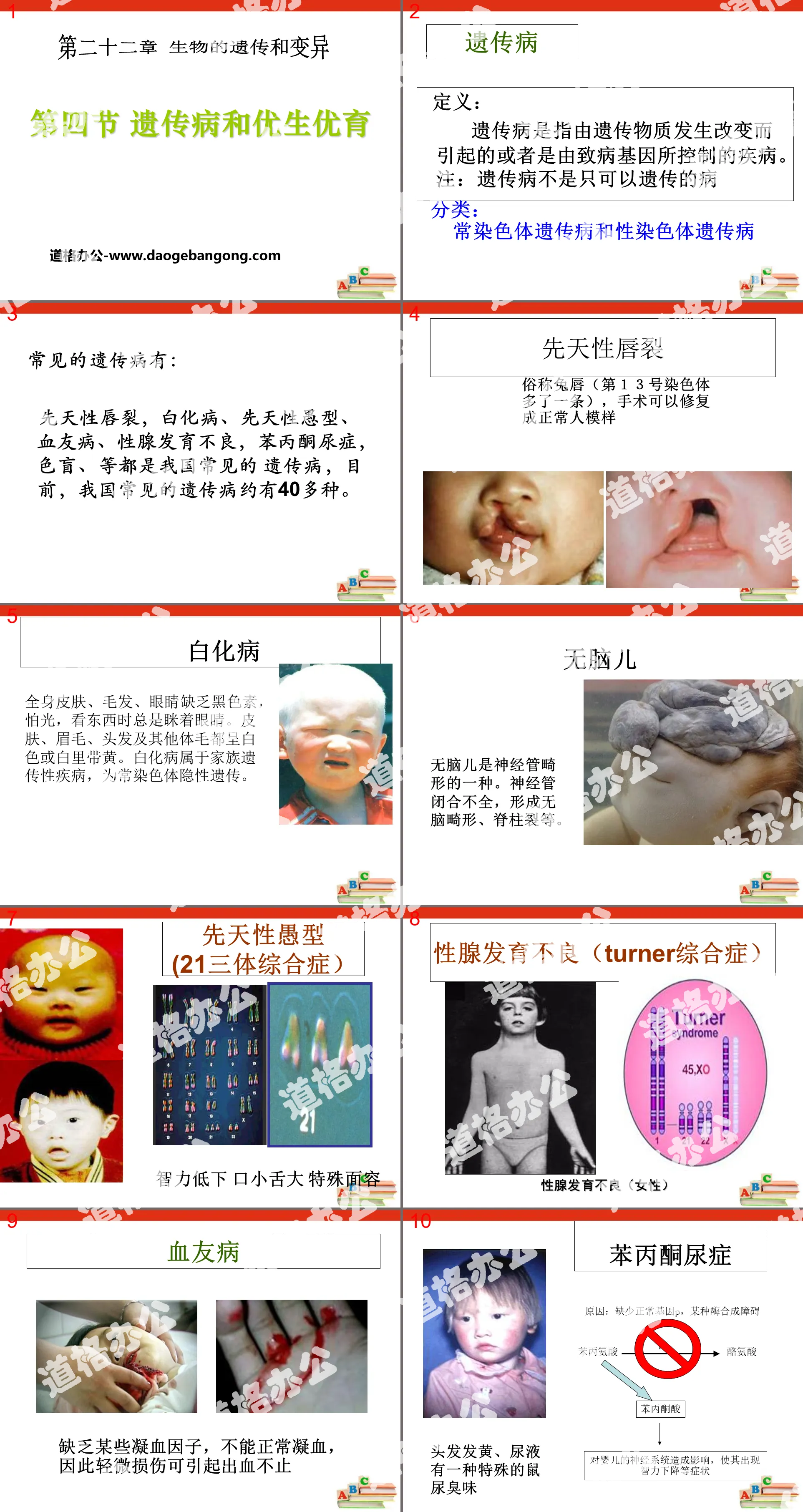 "Hereditary Diseases and Prenatal and Postnatal Education" PPT courseware