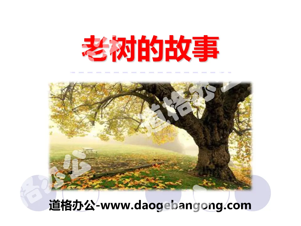 "The Story of the Old Tree" PPT teaching courseware