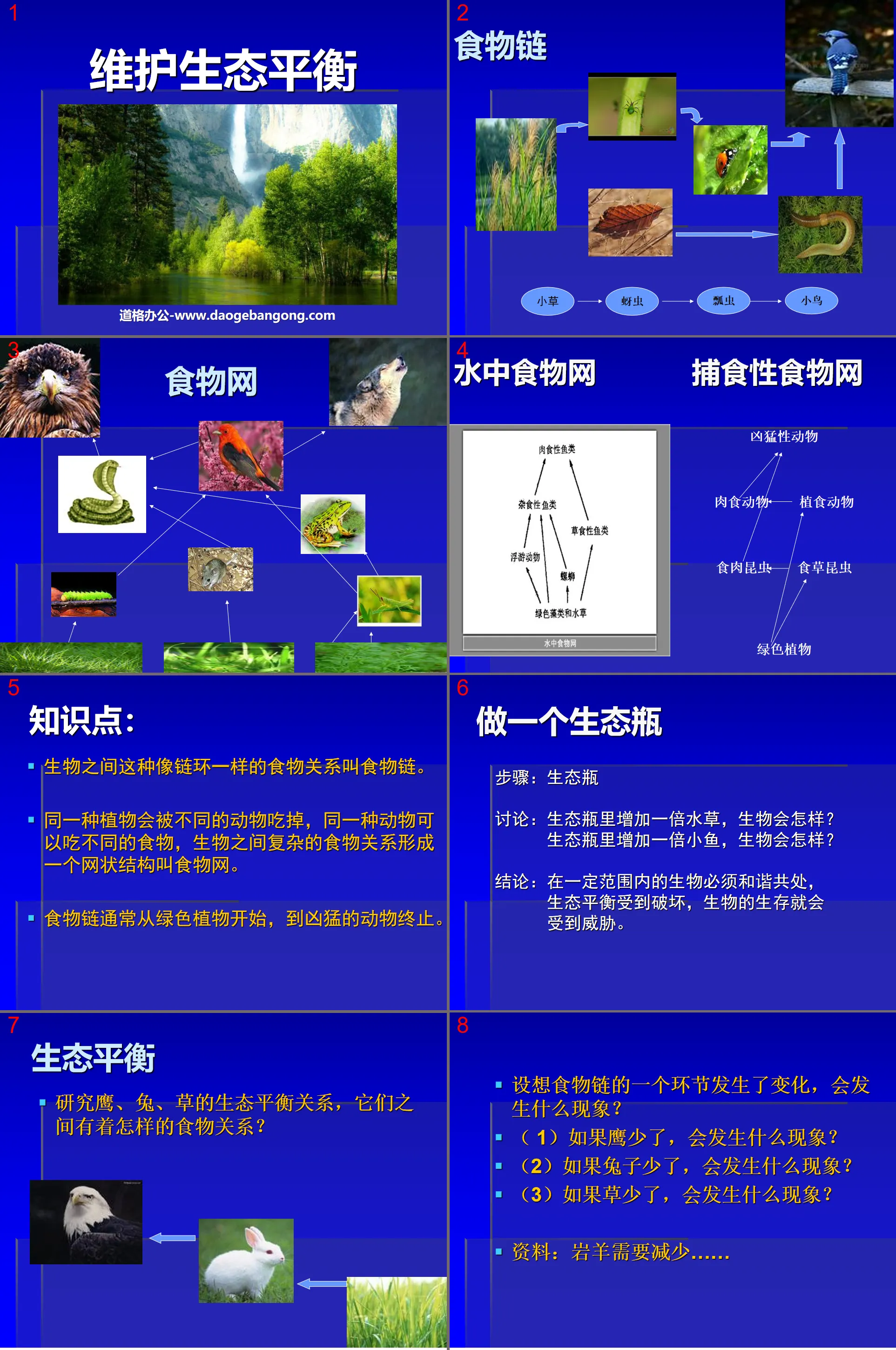 《维护生态平衡》生物与环境PPT课件4
