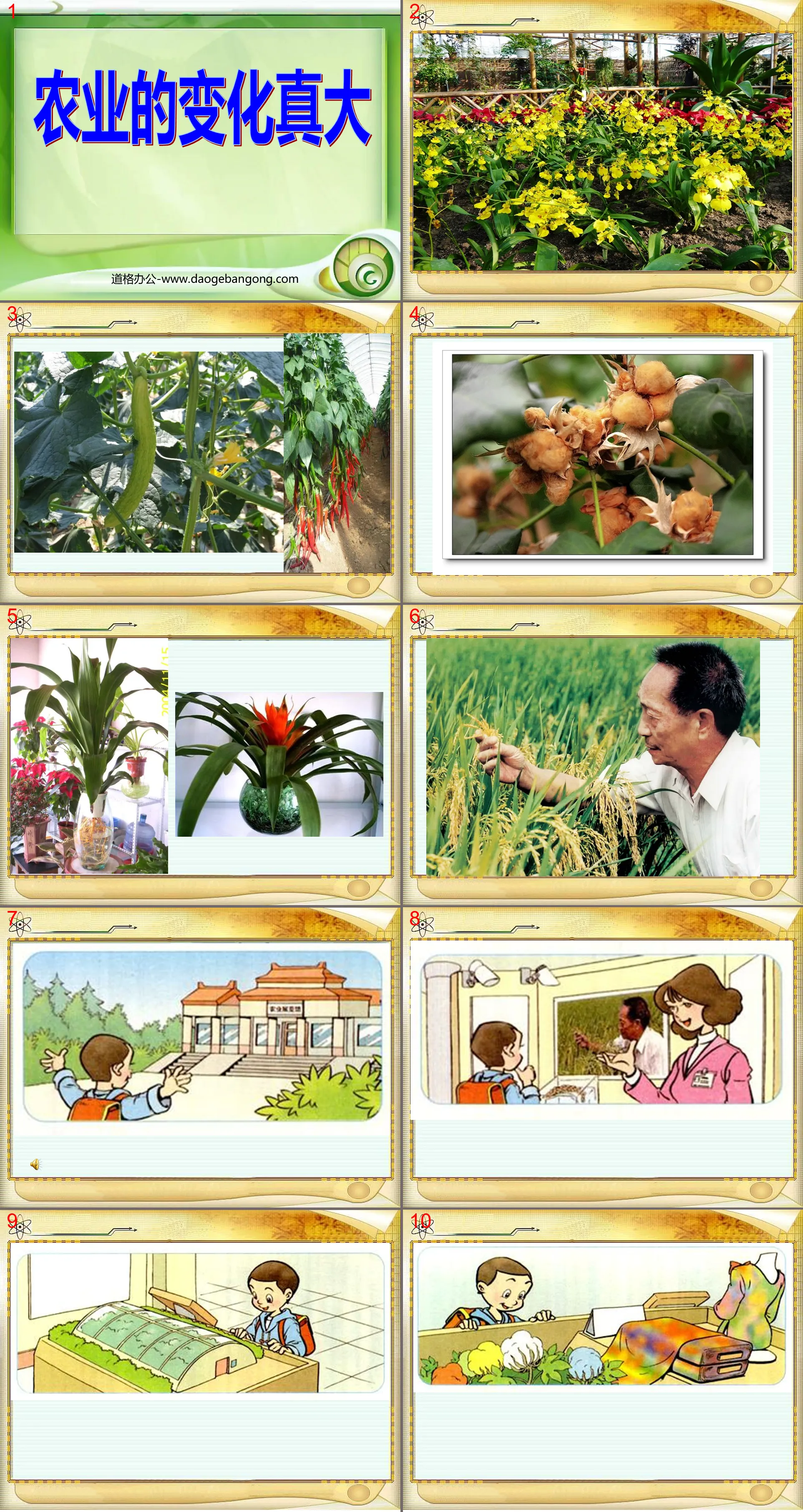 "Agriculture has changed so much" PPT courseware 4