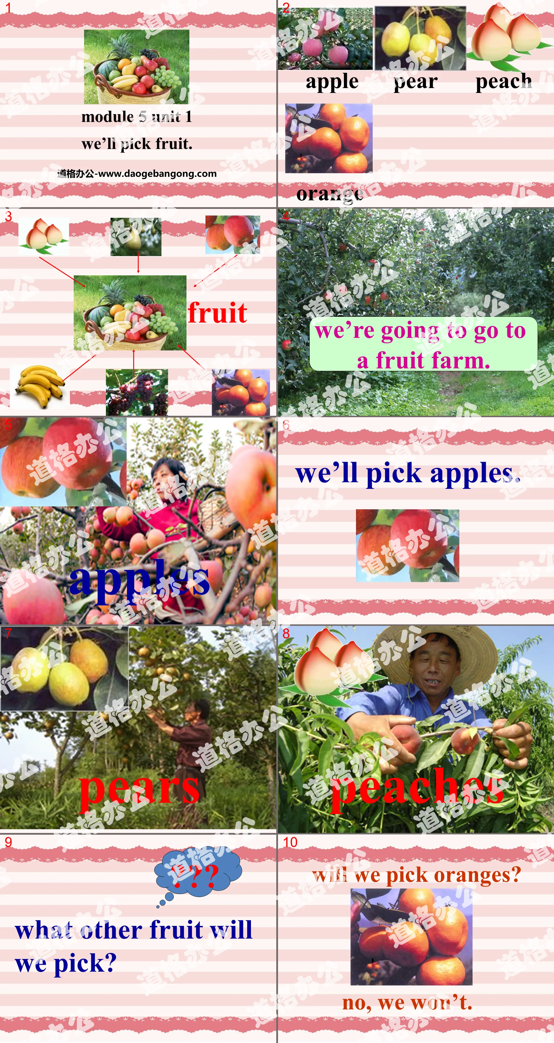 《We'll pick fruit》PPT课件2
