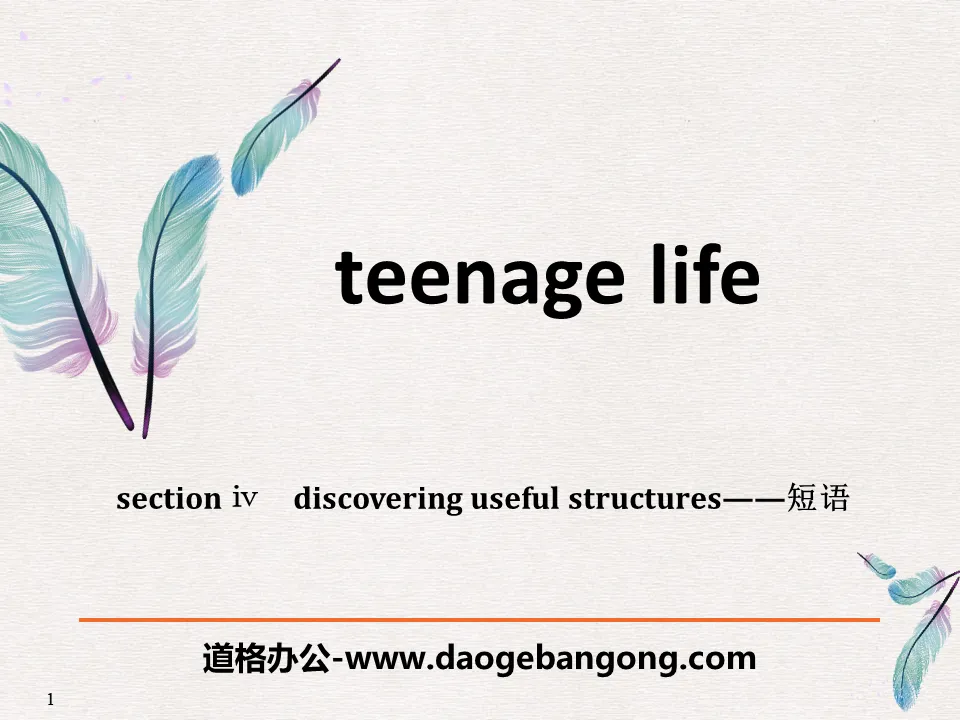 《Teenage Life》Discovering Useful Structures PPT
