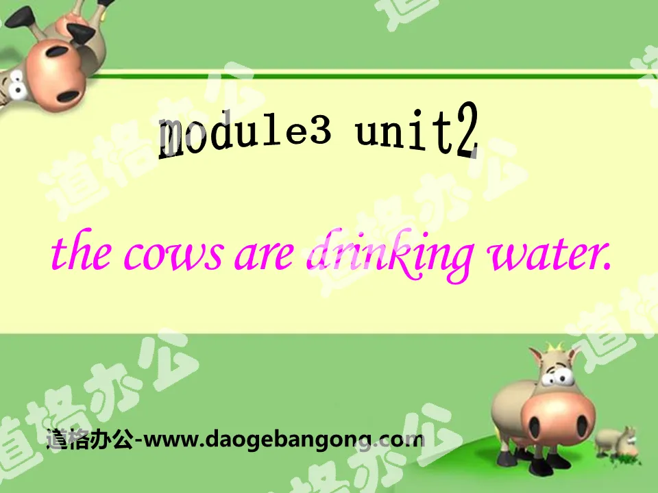 "The cows are drinking water" PPT courseware 5