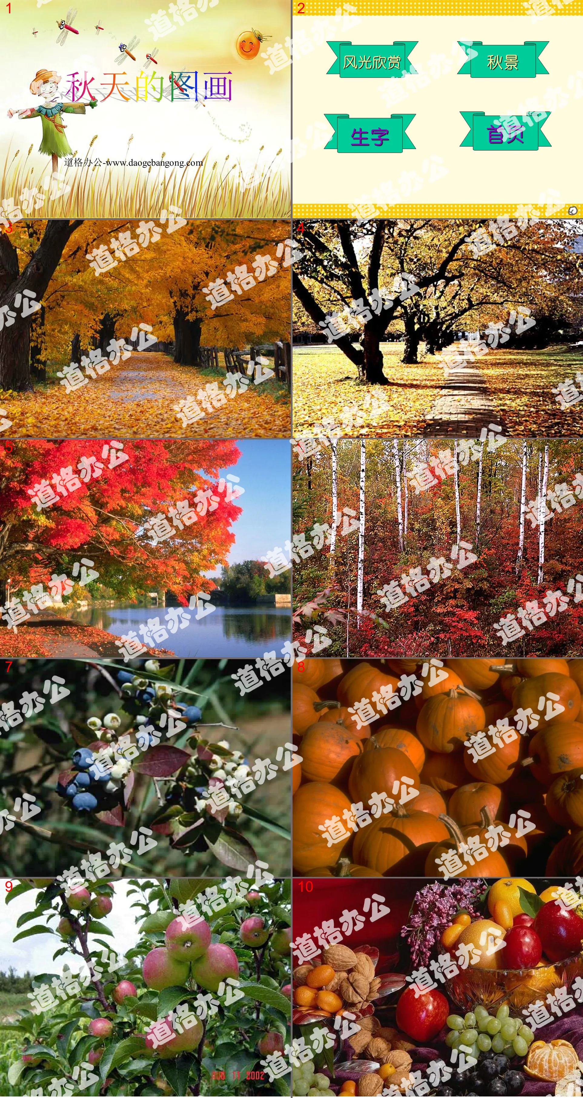 Téléchargement du logiciel pédagogique PPT « Photos d'automne » 3