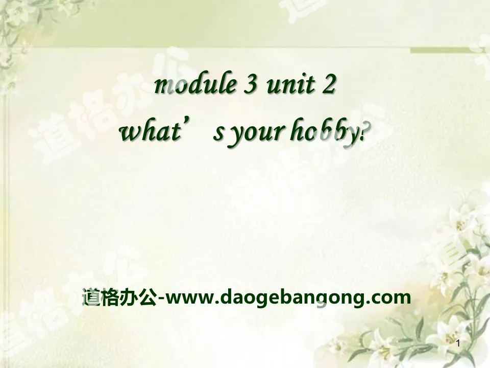 《What's your hobby》PPT课件2
