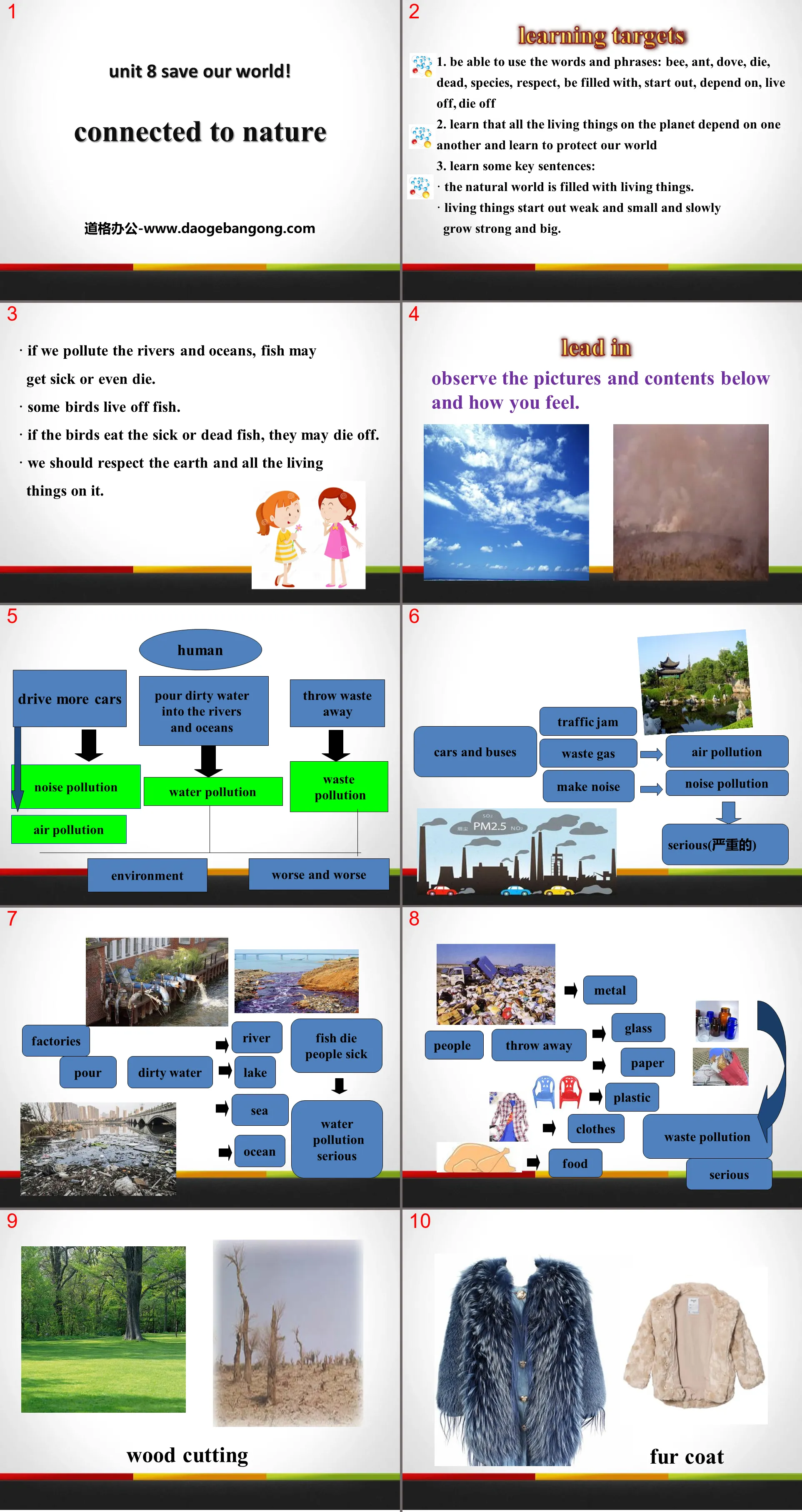 "Connected to Nature" Save Our World! PPT courseware download