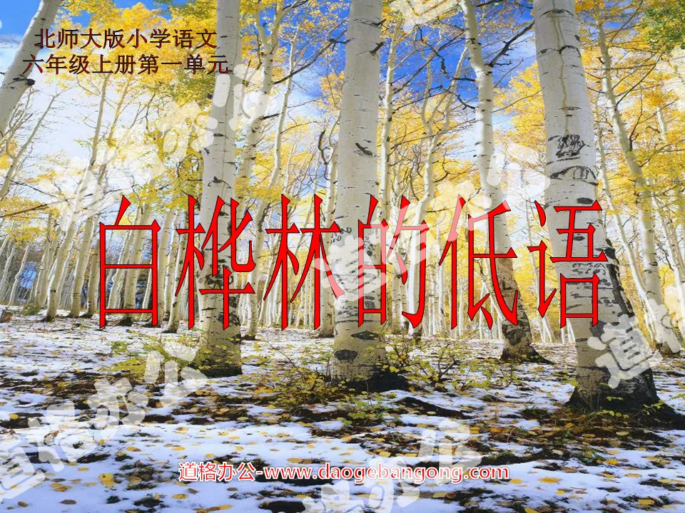 "Whispers of the Birch Forest" PPT Courseware 2