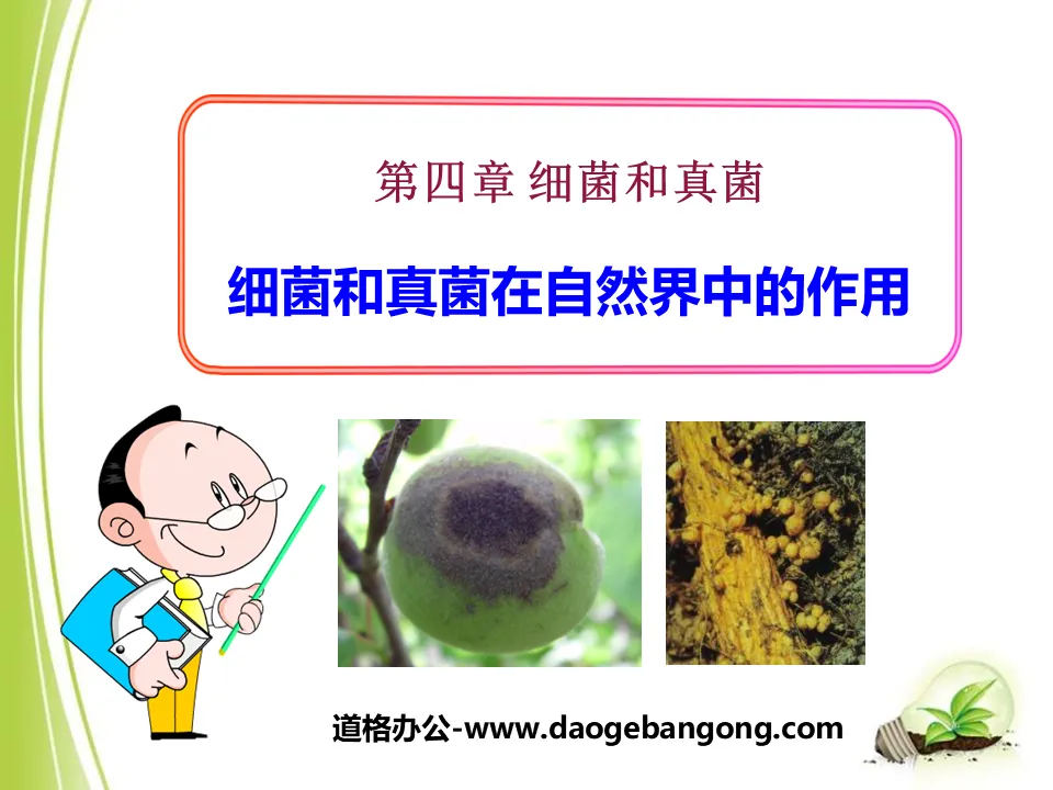 "The Role of Bacteria and Fungi in Nature" Bacteria and Fungi PPT Courseware 2