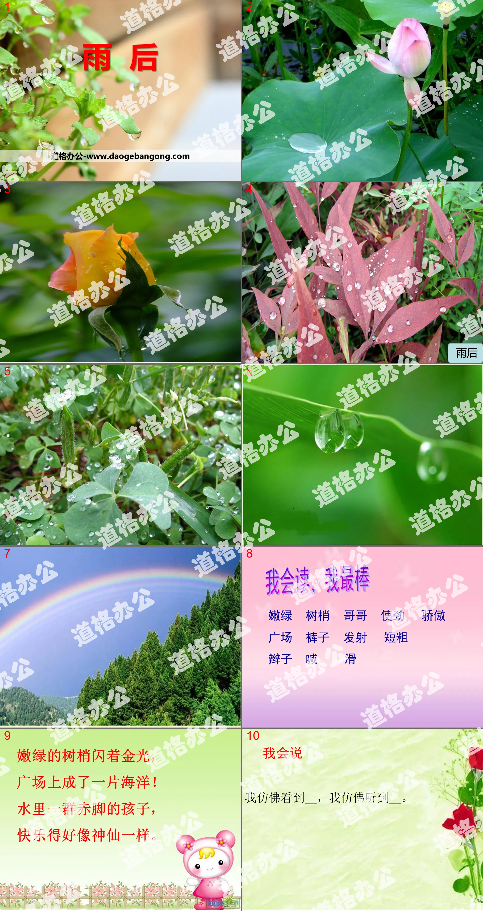 《雨后》PPT
