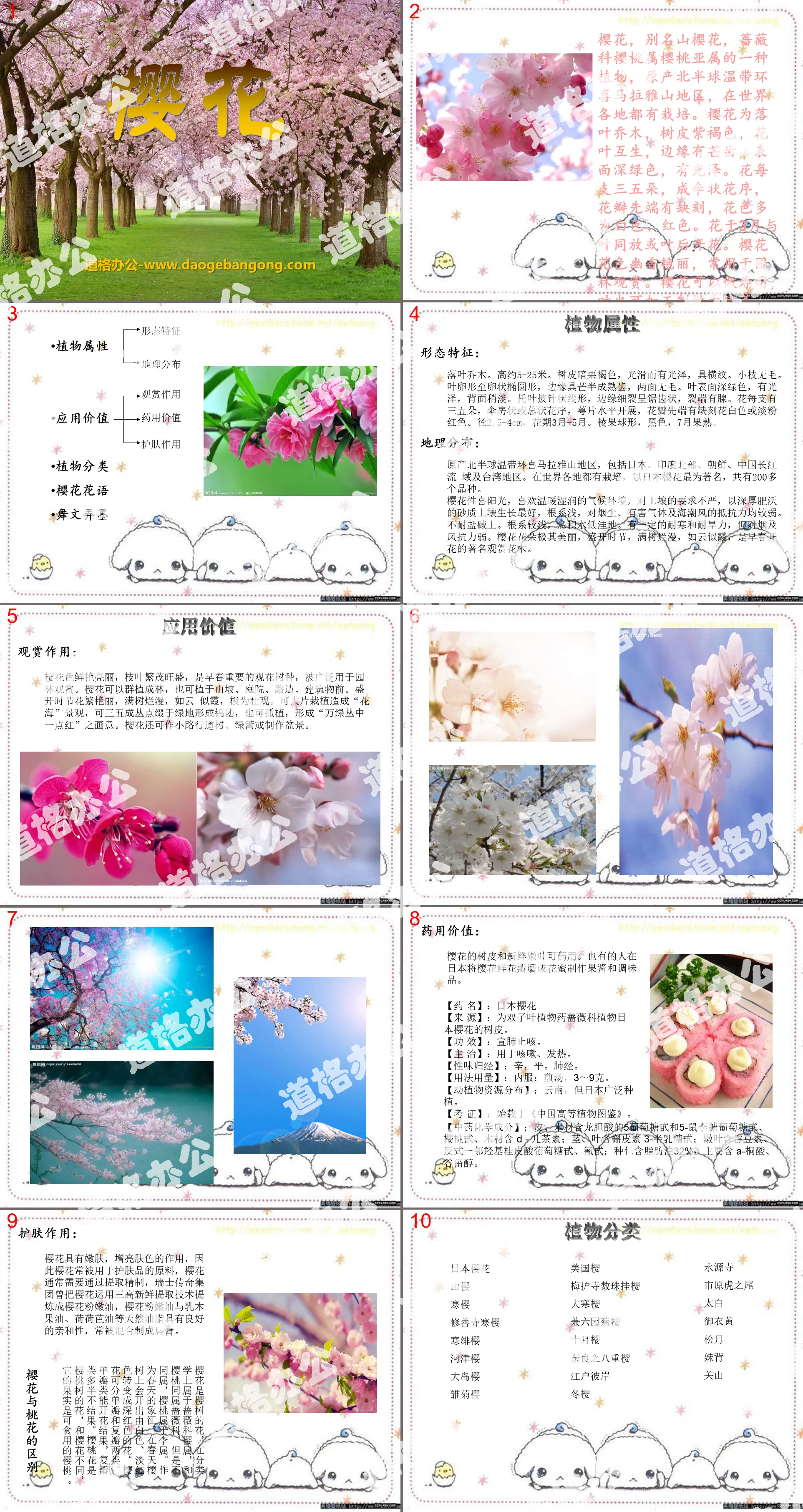 "Sakura" PPT courseware 3