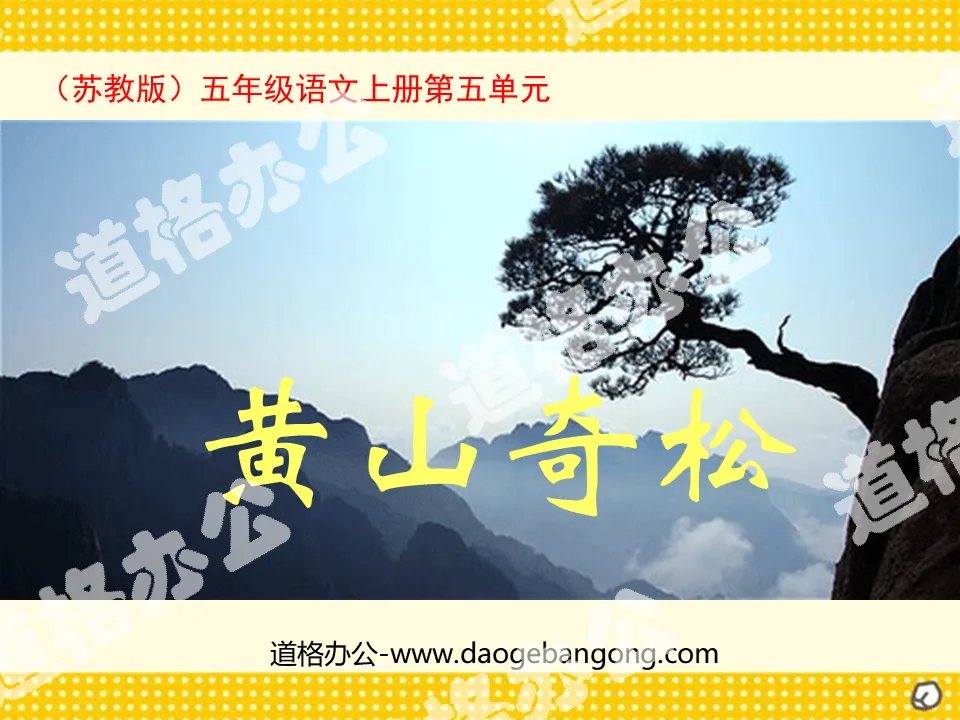 "Huangshan Wonderful Pines" PPT courseware
