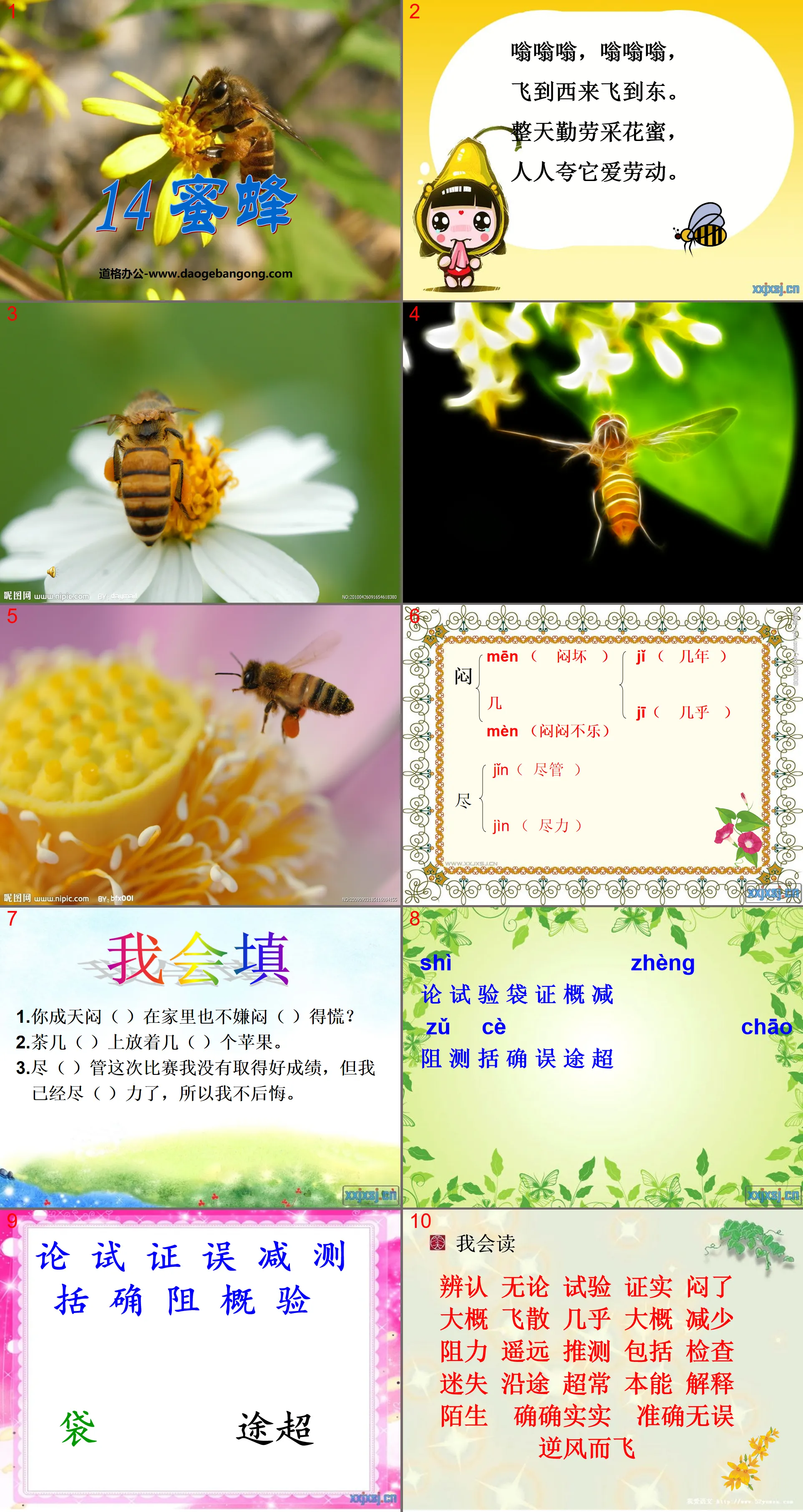 "Bees" PPT courseware 2