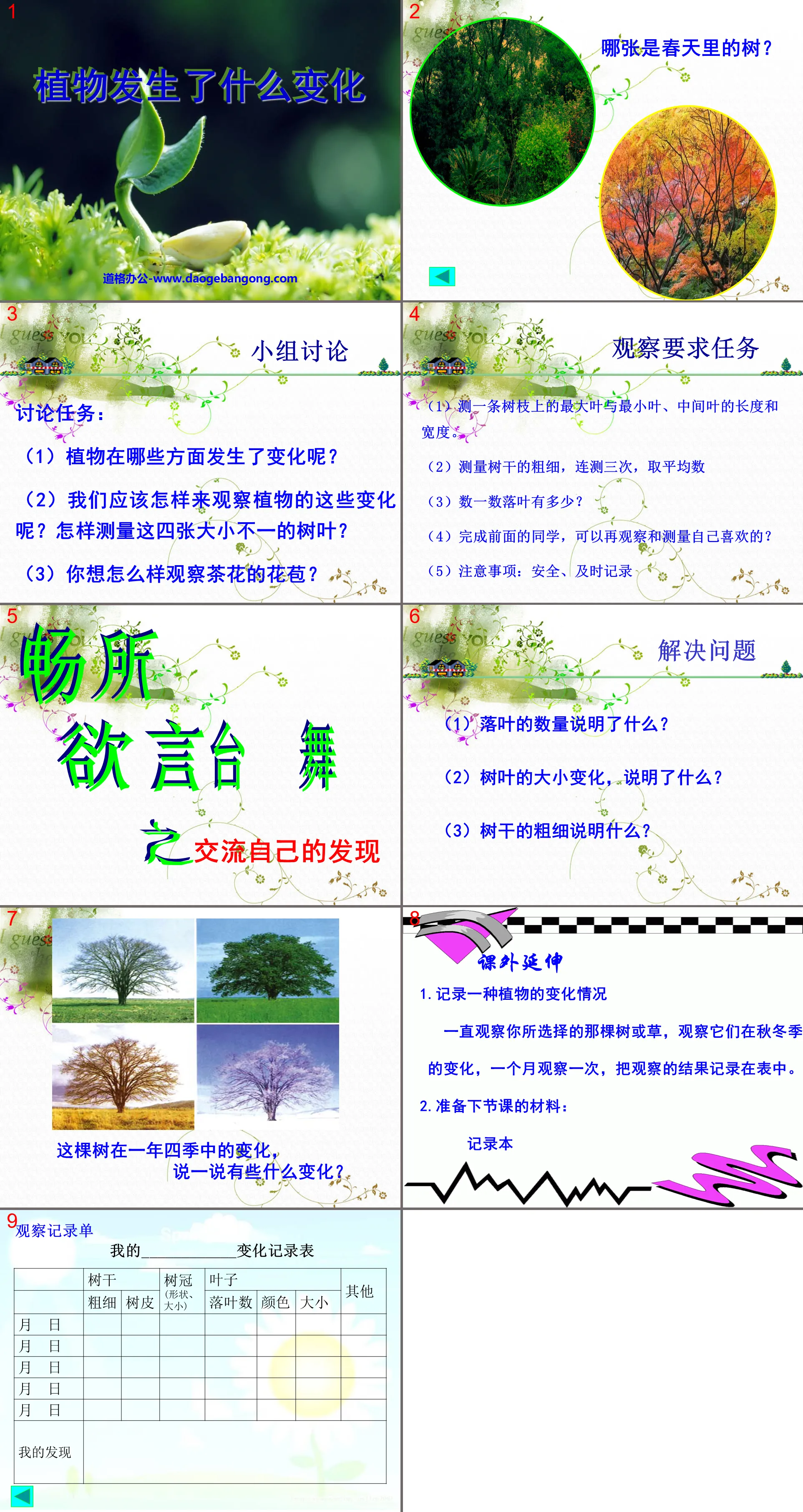 《植物发生了什么变化》植物PPT课件
