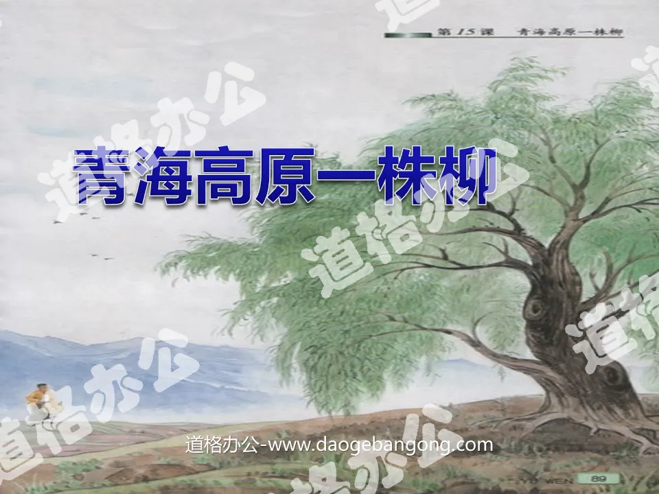 "A Willow on the Qinghai Plateau" PPT courseware