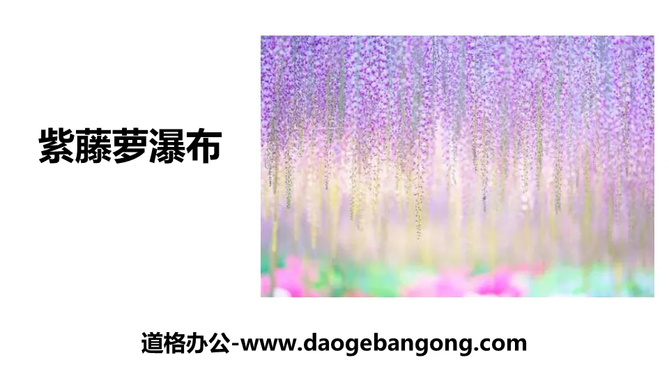 "Wisteria Waterfall" PPT free download