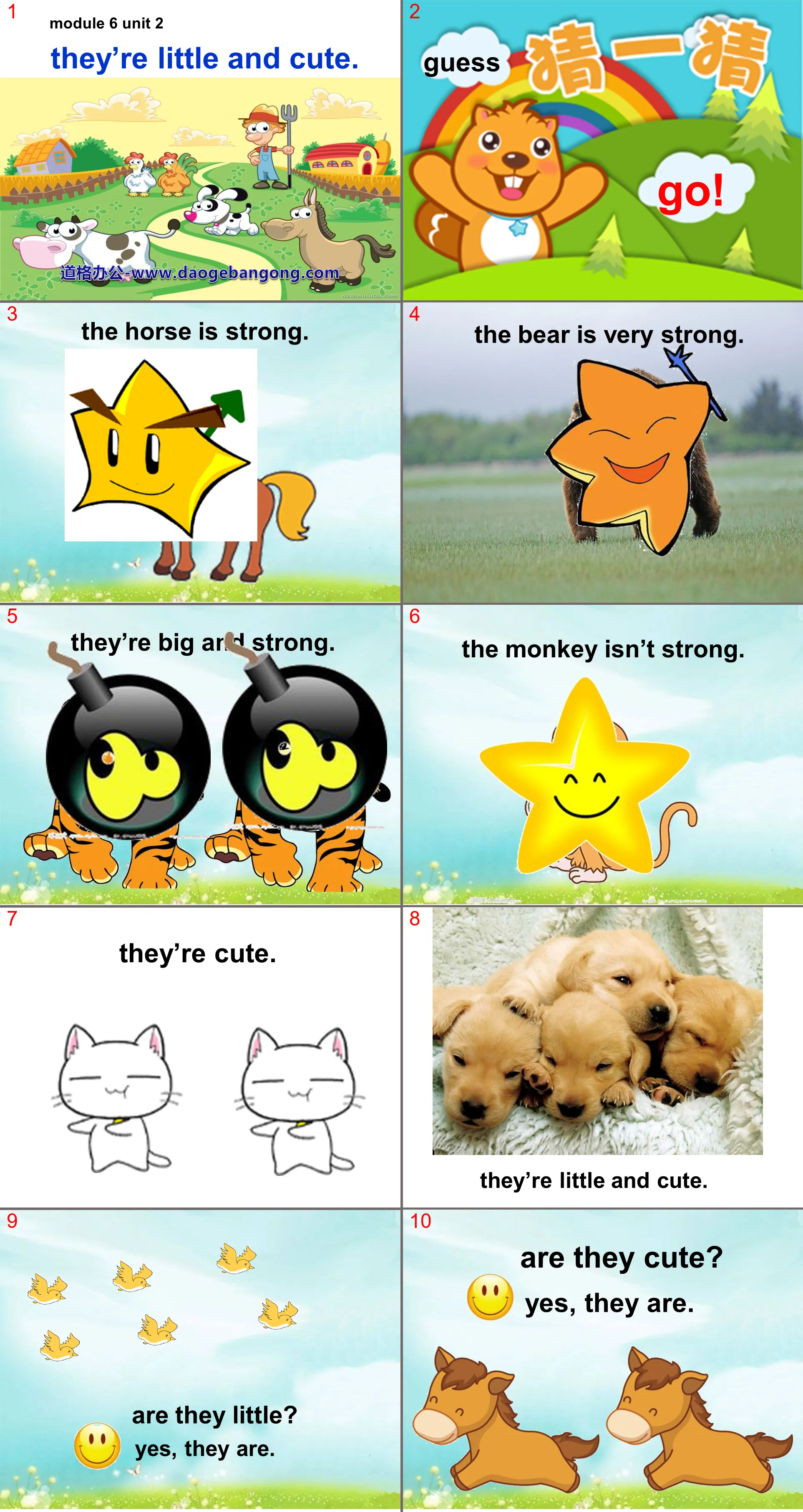 "They’re little and cute" PPT courseware 4