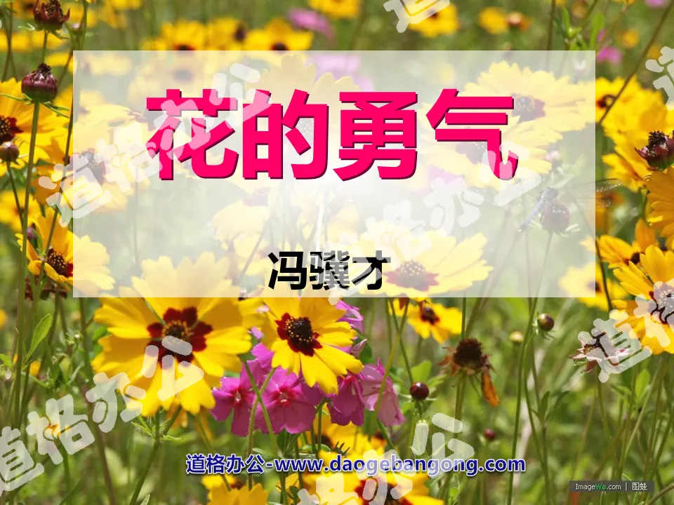 "The Courage of Flowers" PPT Courseware 4