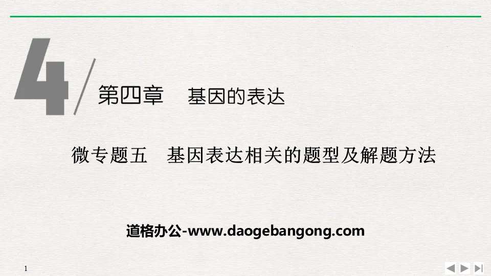 《微專題五　基因表現相關的題型及解題方法》基因的表達PPT課件