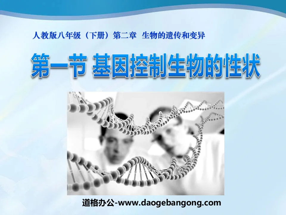 《基因控制生物的性狀》生物的遺傳與變異PPT課件5