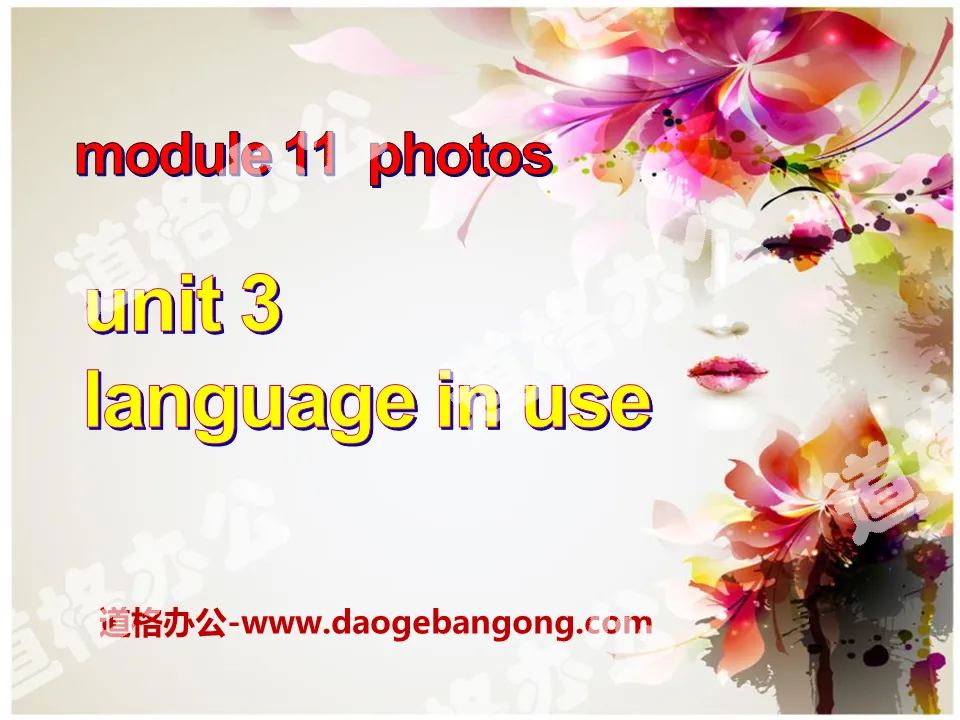 "Language in use" Photos PPT courseware