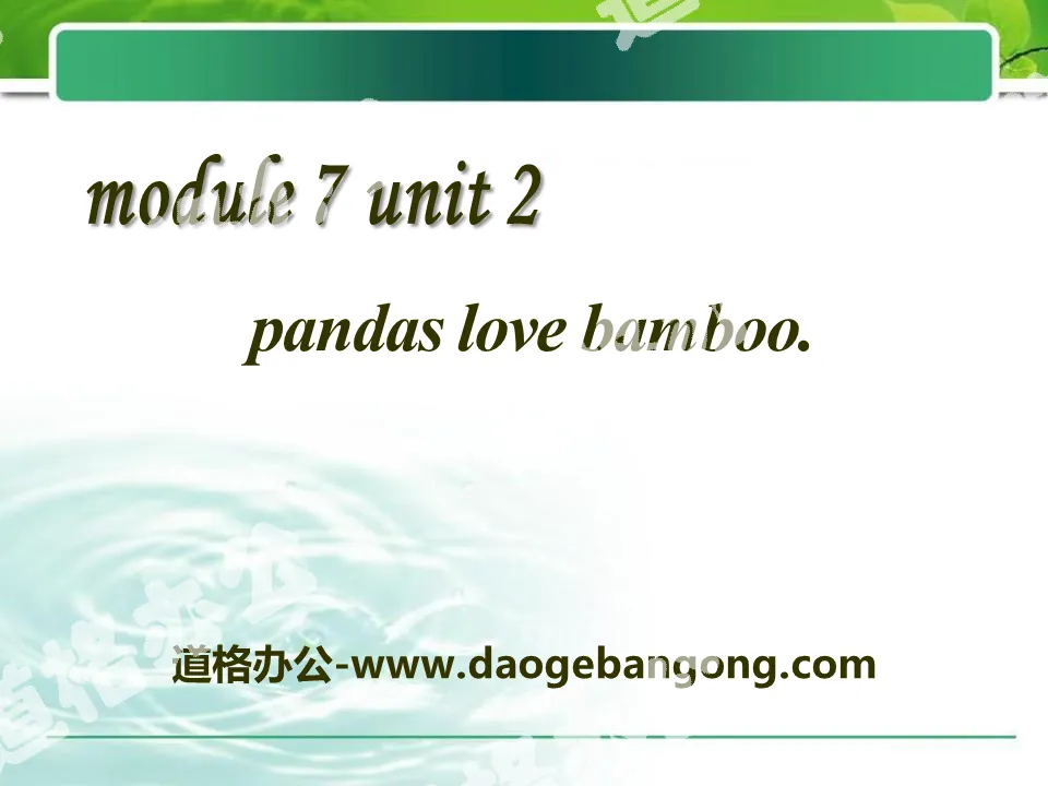 《Pandas love bamboo》PPT課件2