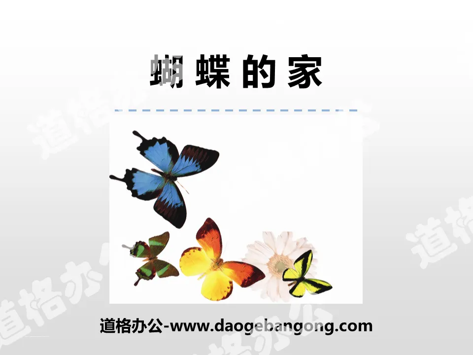 "Butterfly's Home" PPT teaching courseware