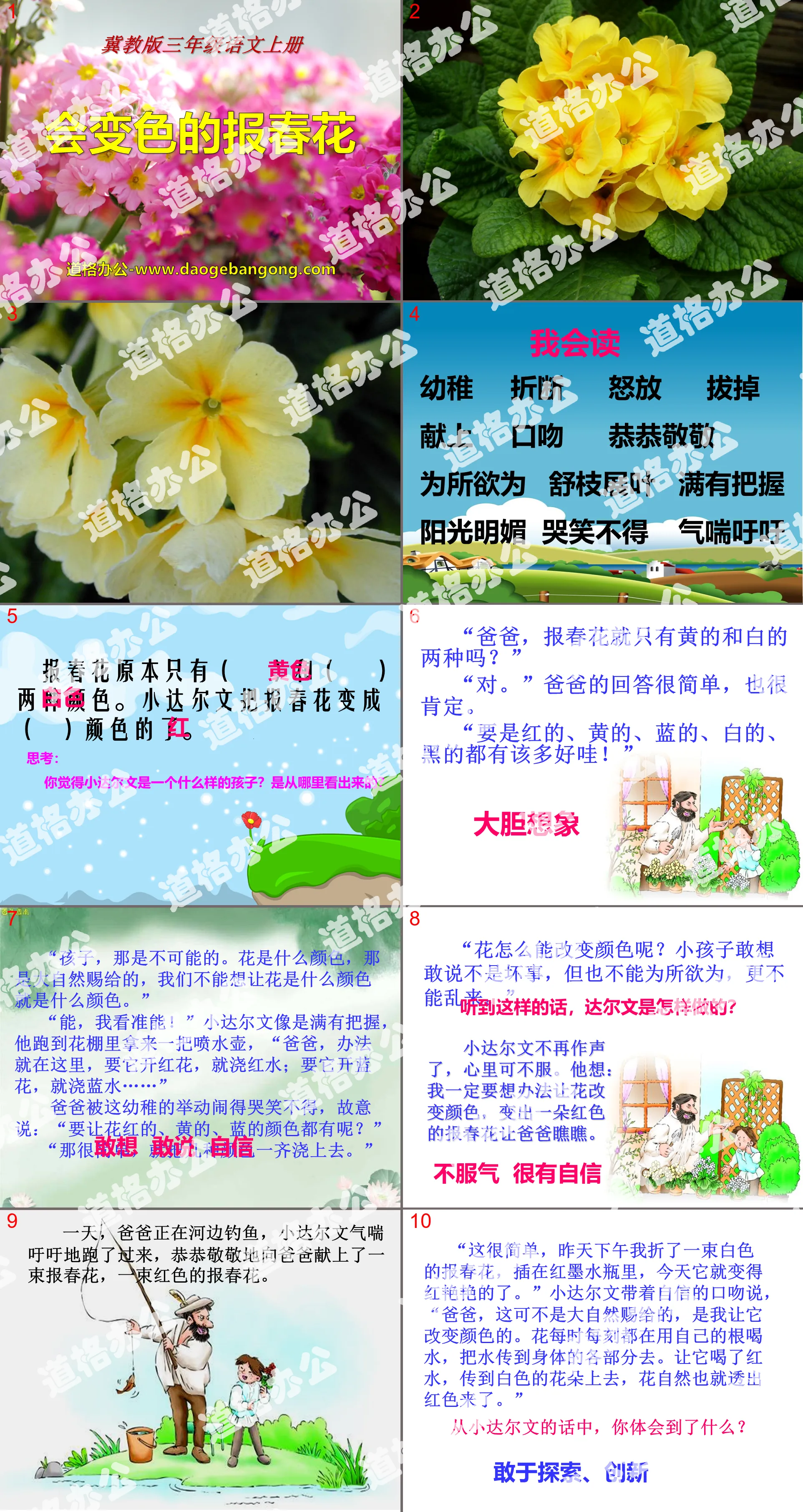 《会变色的报春花》PPT课件2
