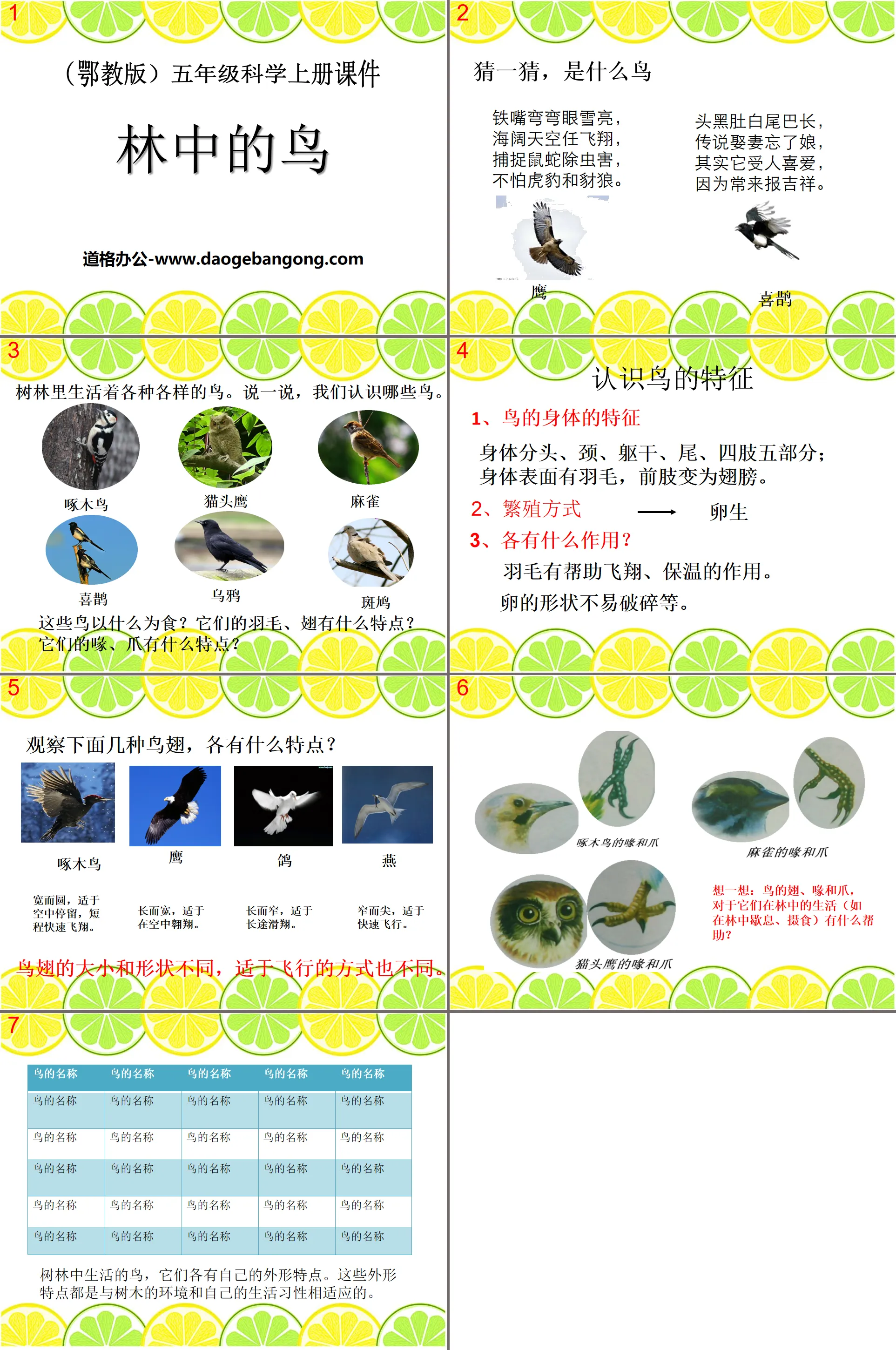 《林中的鳥》走進樹林PPT課件