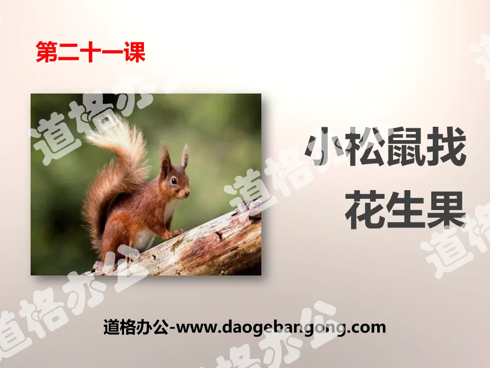 "Little Squirrel Looking for Peanuts" PPT