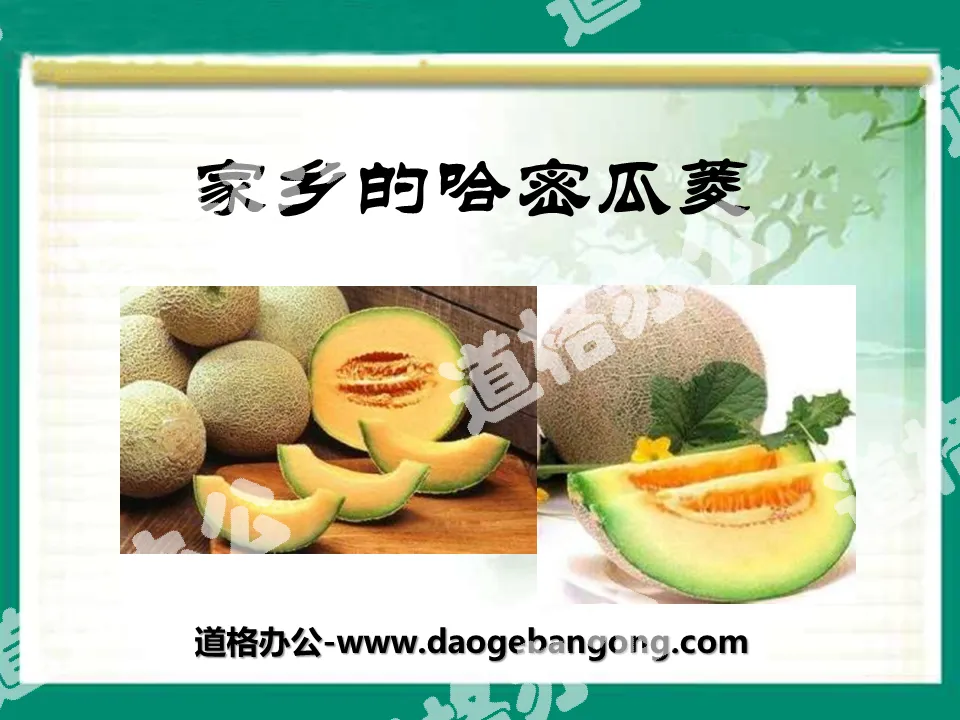 "Hami Melon in Hometown" PPT courseware