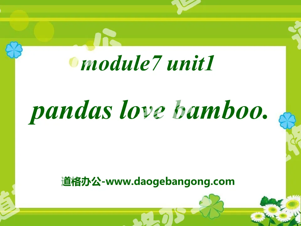 《Pandas love bamboo》PPT課件4