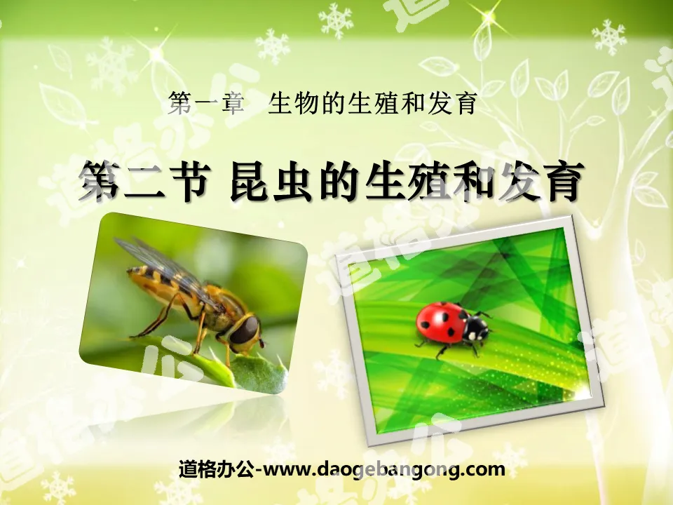 "Reproduction and Development of Insects" Reproduction and Development of Biological Organisms PPT Courseware 5