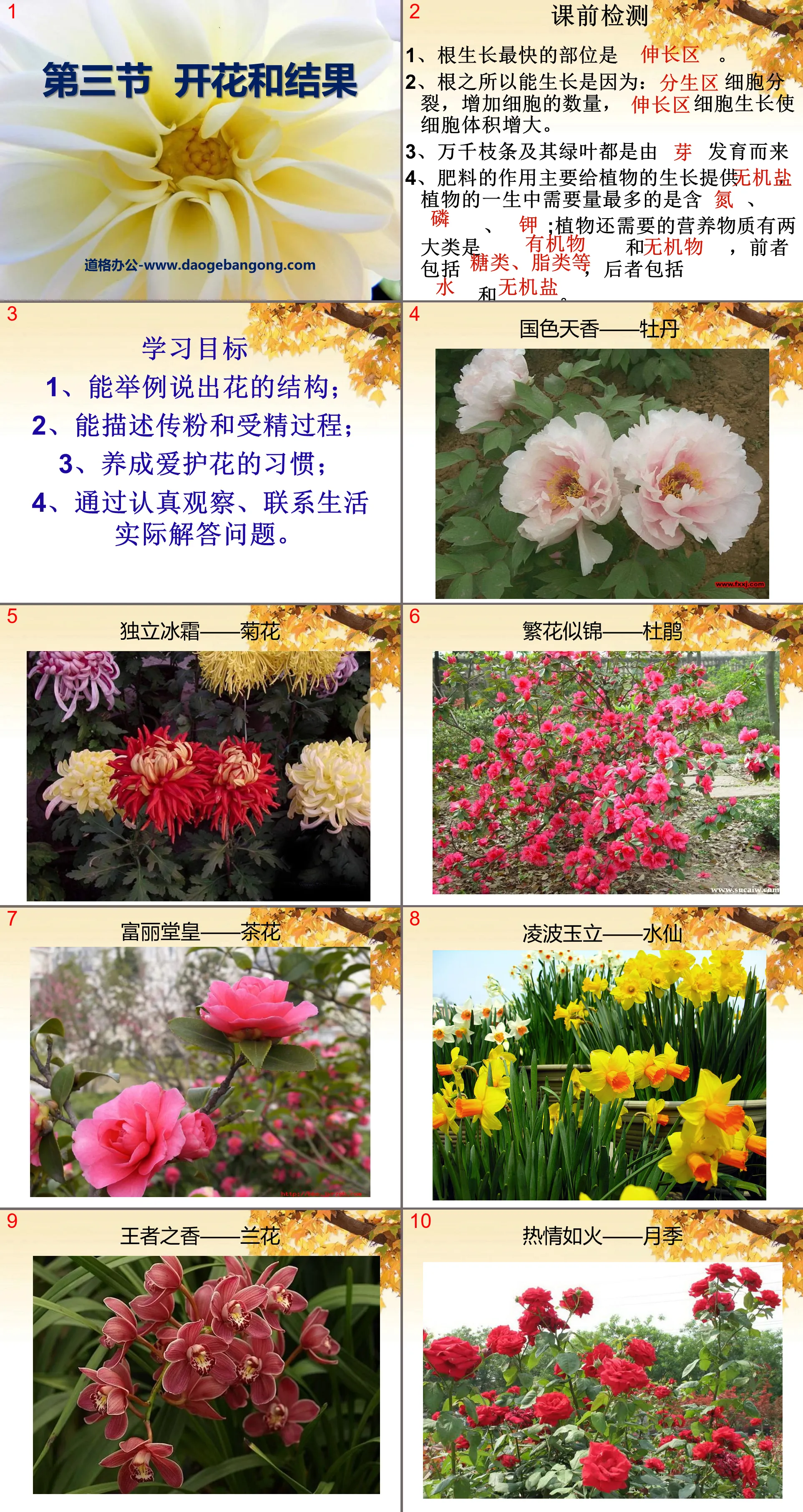 "Blooming and Fruiting" PPT courseware on the life of angiosperms