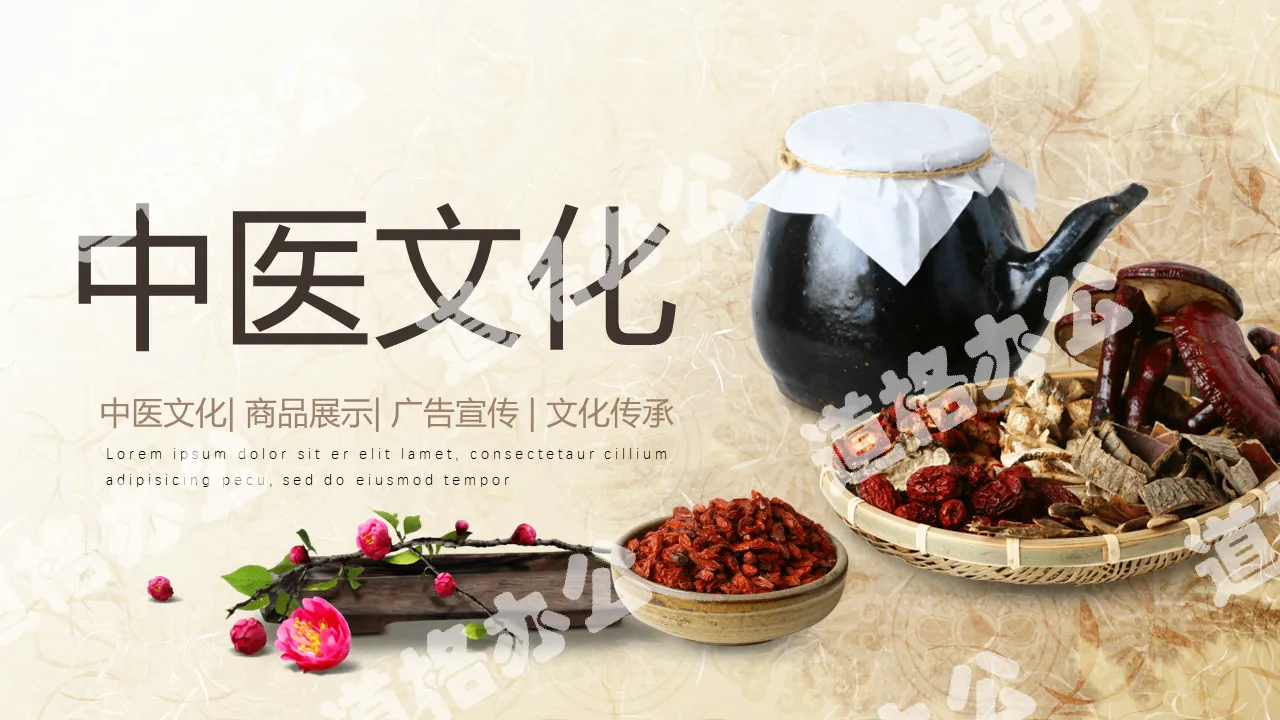 Traditional Chinese medicine culture PPT template with the background of Chinese medicine Ganoderma lucidum