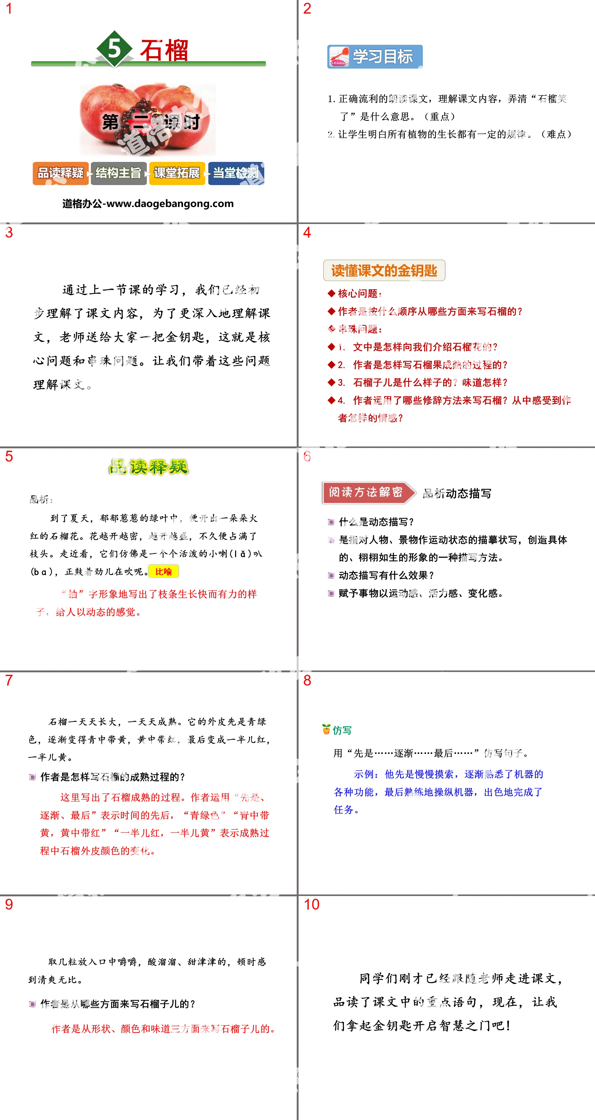 《石榴》PPT教学课件
