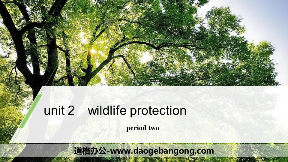 《Wildlife Protection》Period Two PPT