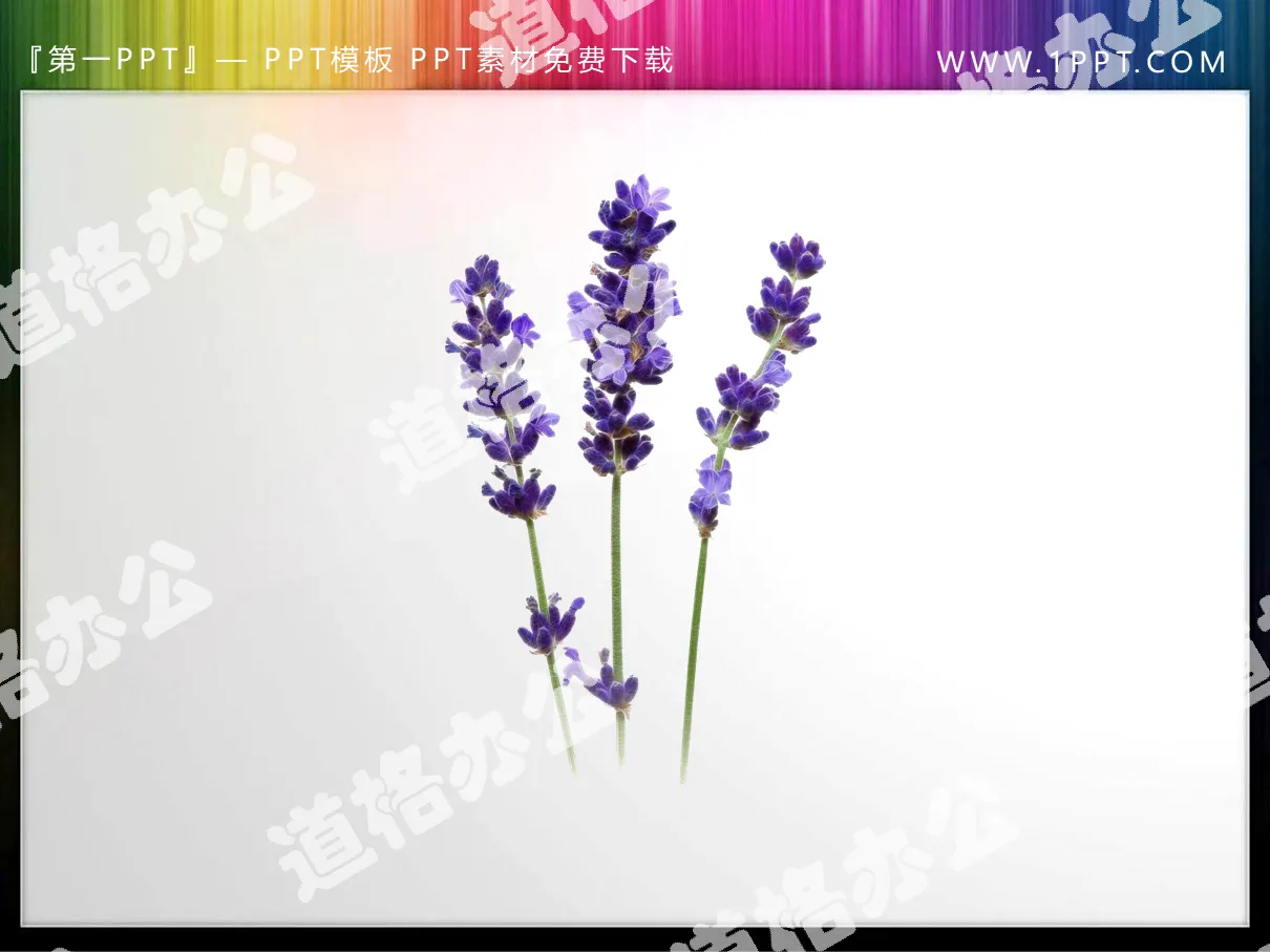 A set of beautiful transparent plant PPT material