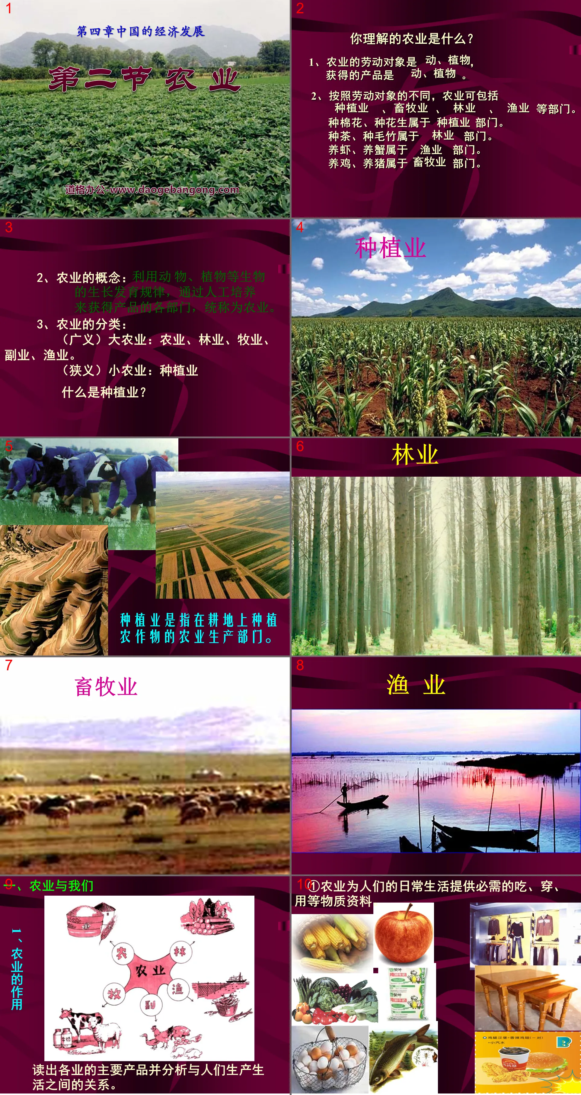 "Agriculture" China's economic development PPT courseware 6