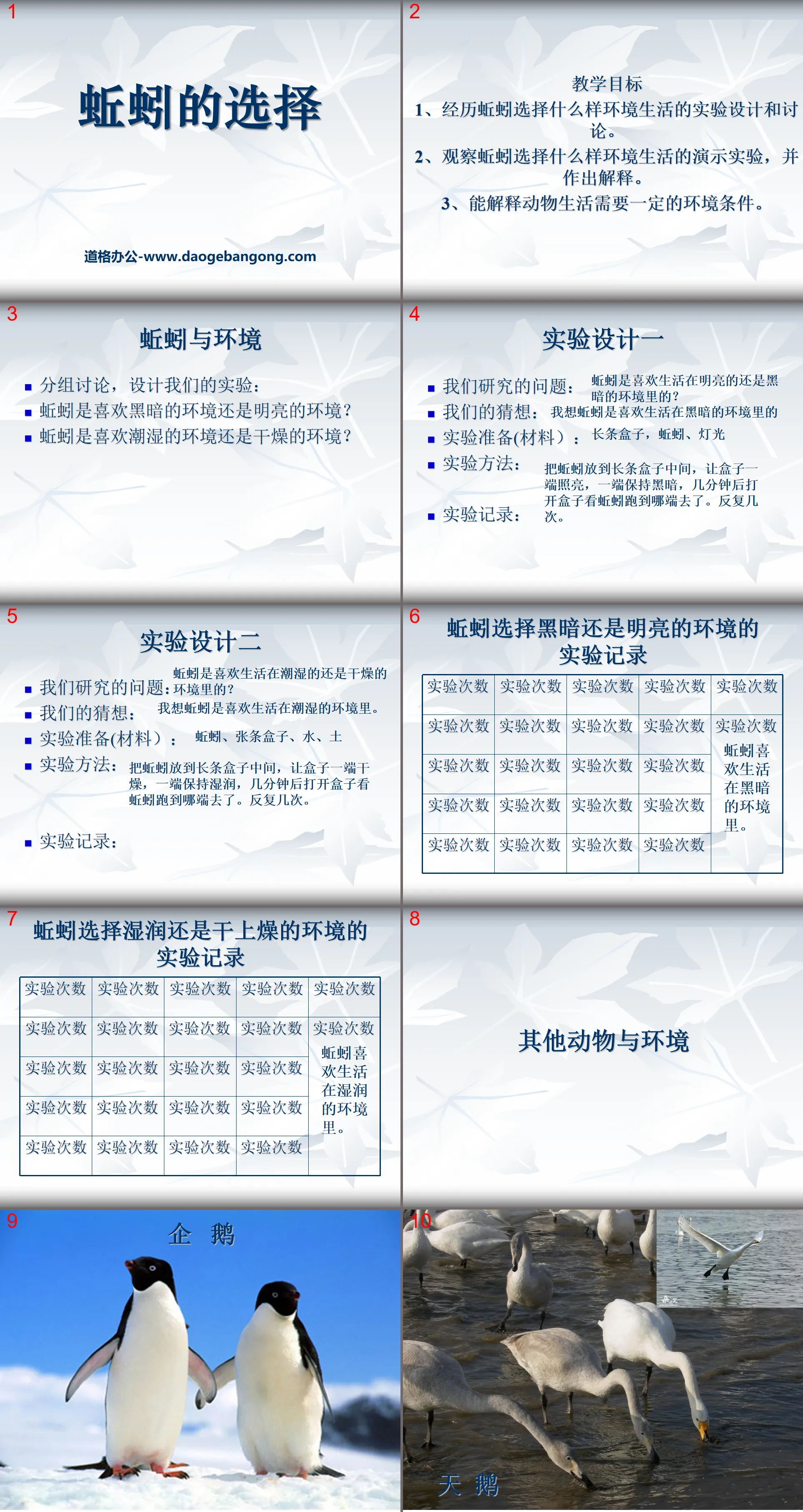 《蚯蚓的选择》生物与环境PPT课件3
