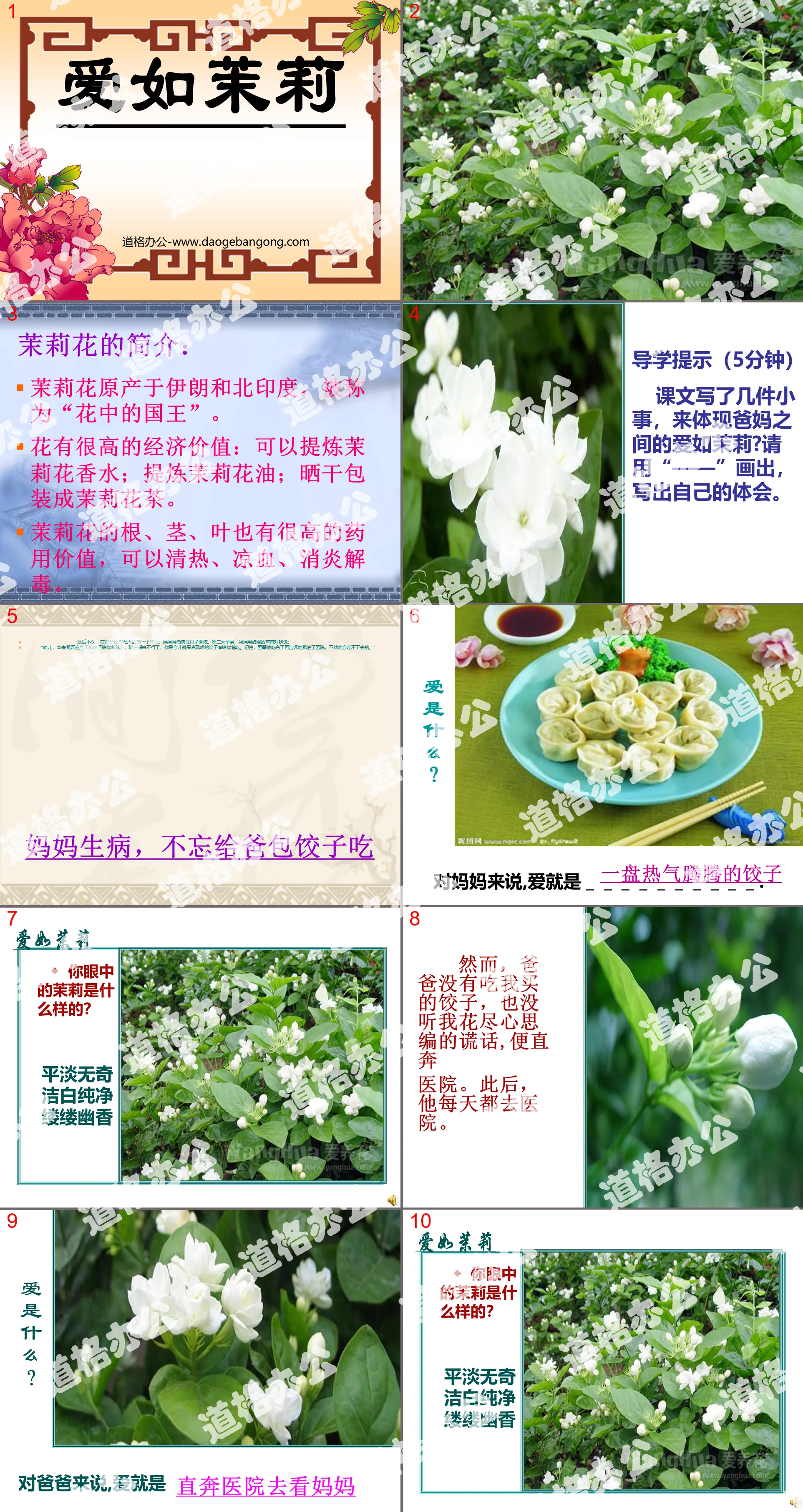 《爱如茉莉》PPT课件4
