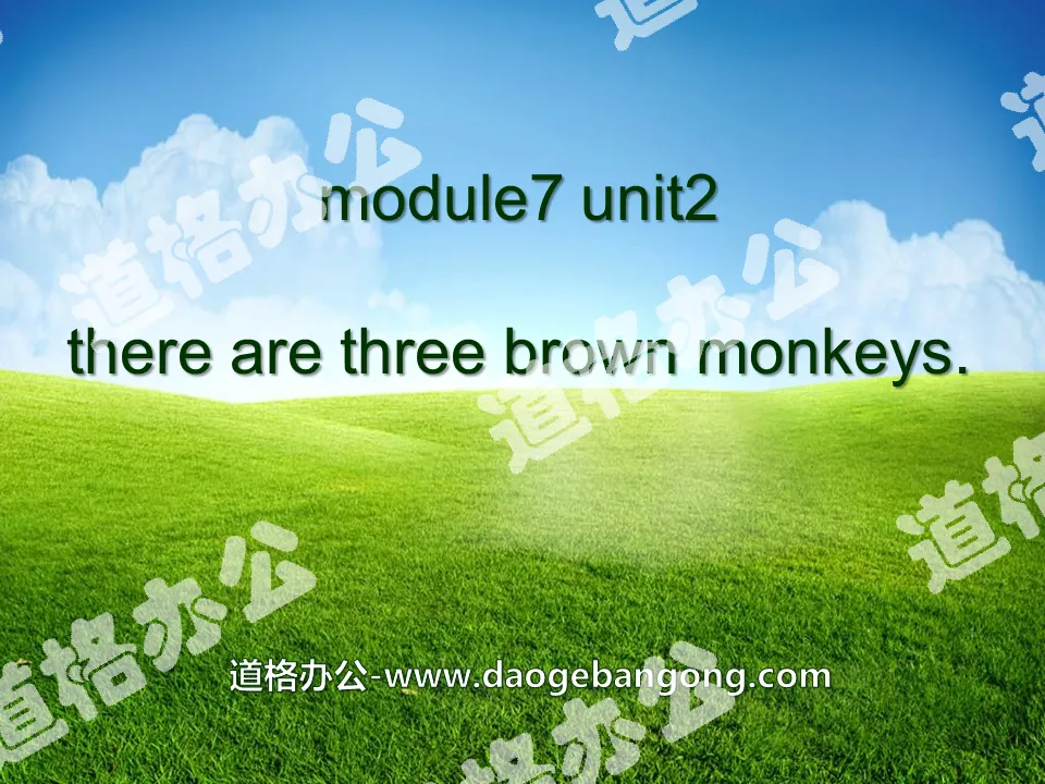 "There are three brown monkeys" PPT courseware