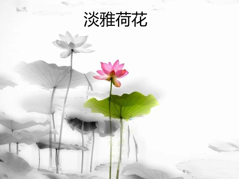 Elegant lotus Chinese style PPT template download