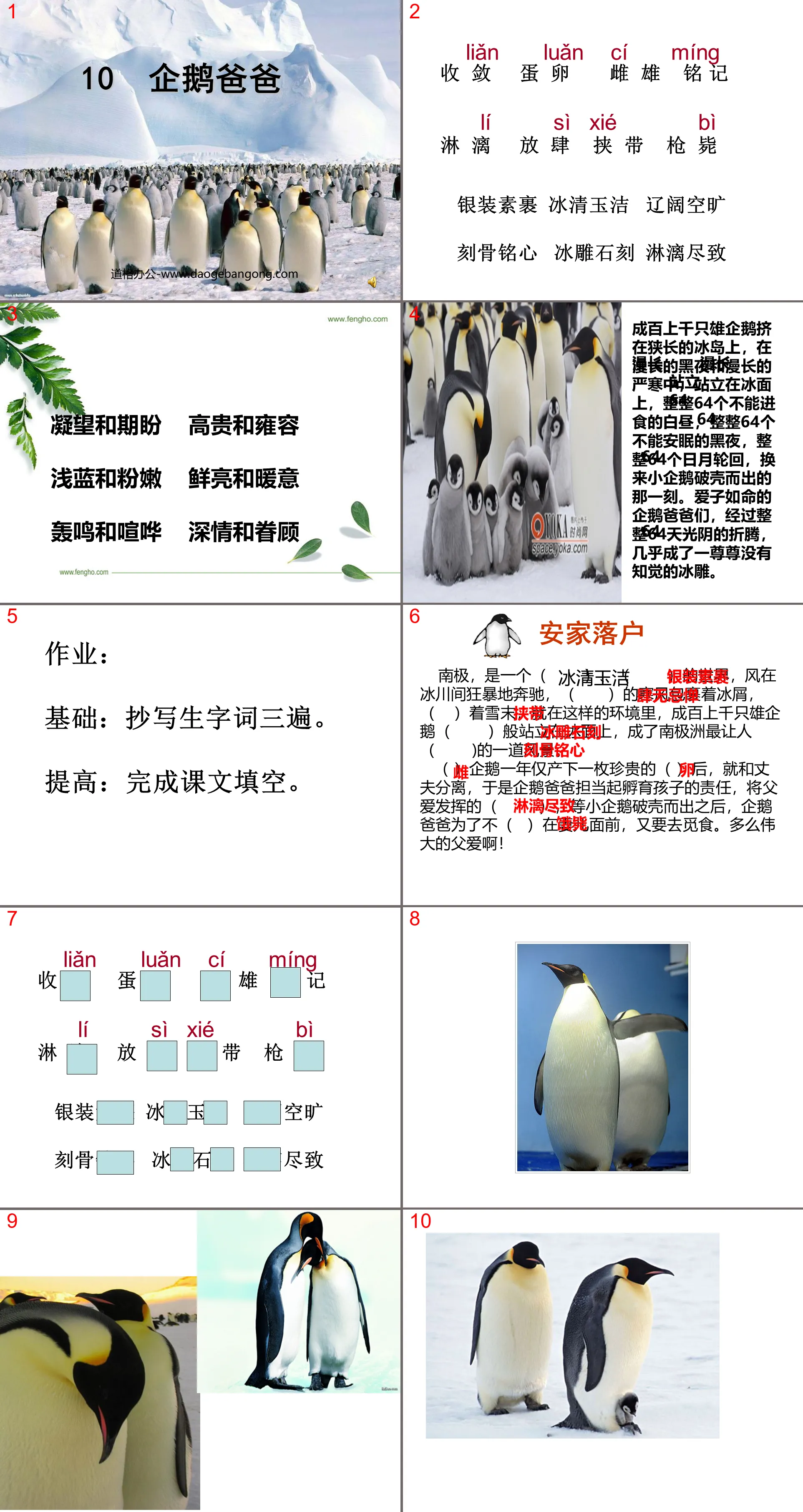 "Penguin Dad" PPT courseware 3