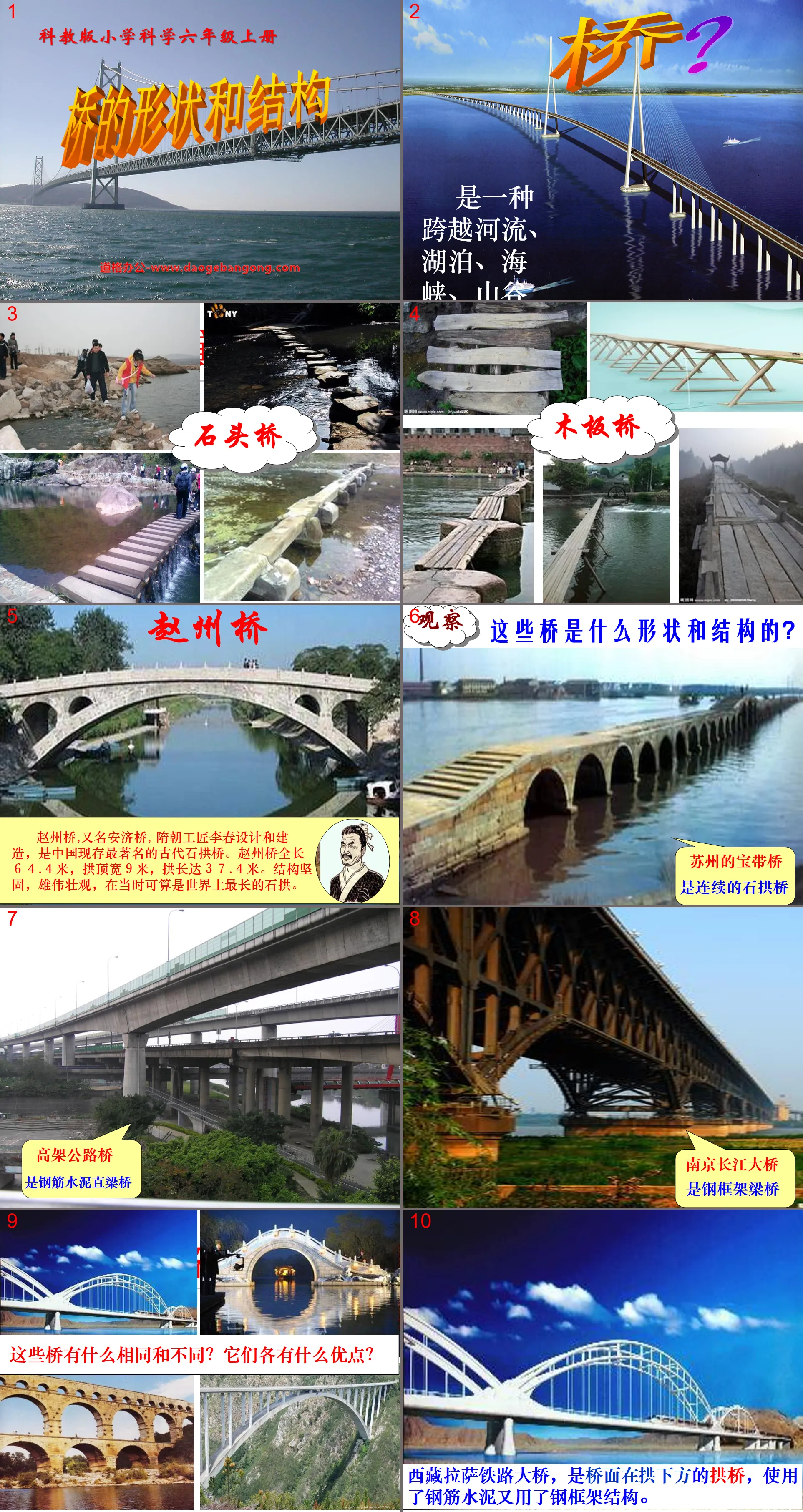 "The Shape and Structure of Bridges" Shape and Structure PPT Courseware